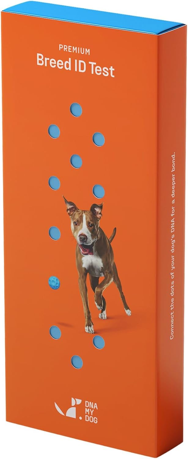 51ImJnR-aGL._AC_SL1500_.jpg DNA My Dog Premium Dog DNA Test - Image 1