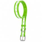 Dog Shock Collar Replacement Strap, 3/4Inch Waterproof E Collar Strap,Green | Compatible with Most Training, Bark & Fence Collar|Fits Small, Medium & Large Dogs 5-150 lbs|Adjustable Strap|Reflective