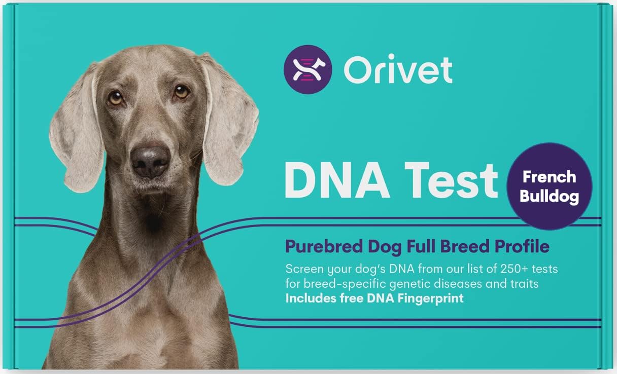 61PtoVItpsL._AC_SL1500_.jpg ORIVET Dog DNA Test Kit - French Bulldog Full Breed Profile - Image 1