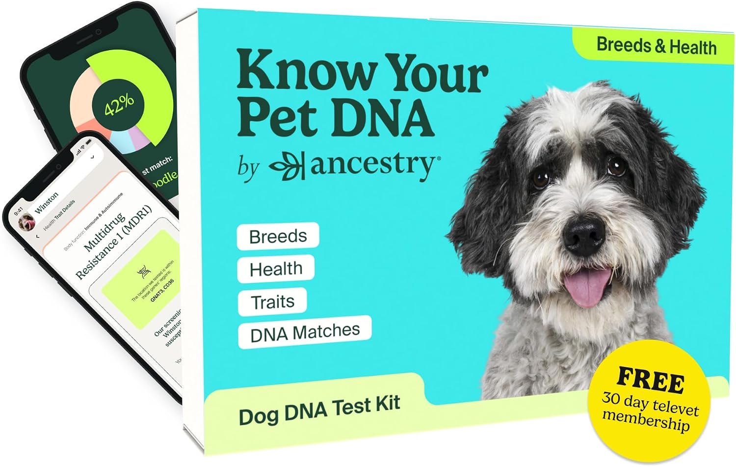 71121Y94mNL._AC_SL1500_.jpg Ancestry Dog DNA Test: The Top-Selling DNA Consumer Brand, Breed Identification, Trait Insights, Health - Image 1
