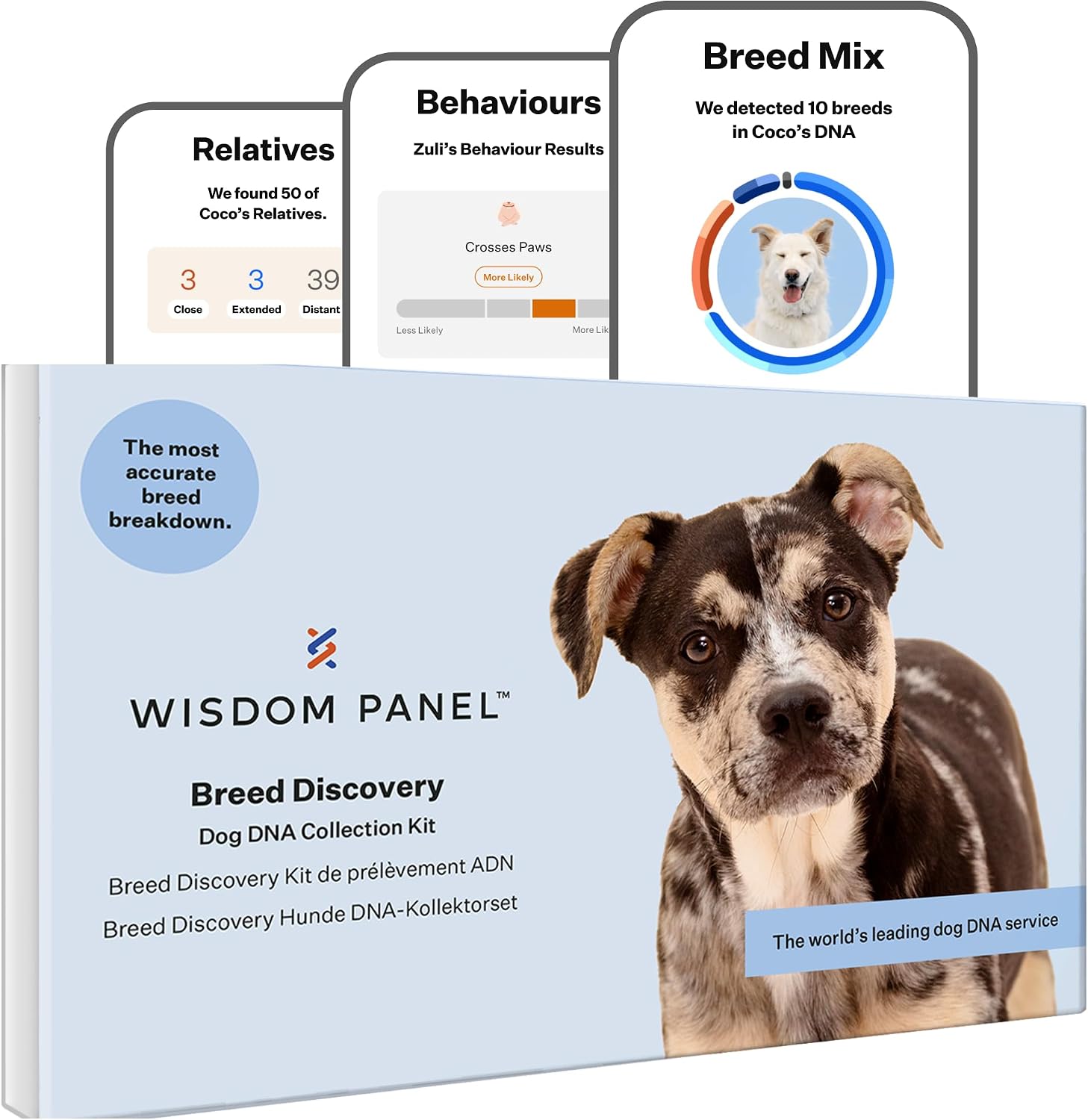 71Am11QYhL._AC_SL1500_.jpg Wisdom Panel Dog DNA Test Kit - Canine Breed Identification and Ancestry Information - Image 1