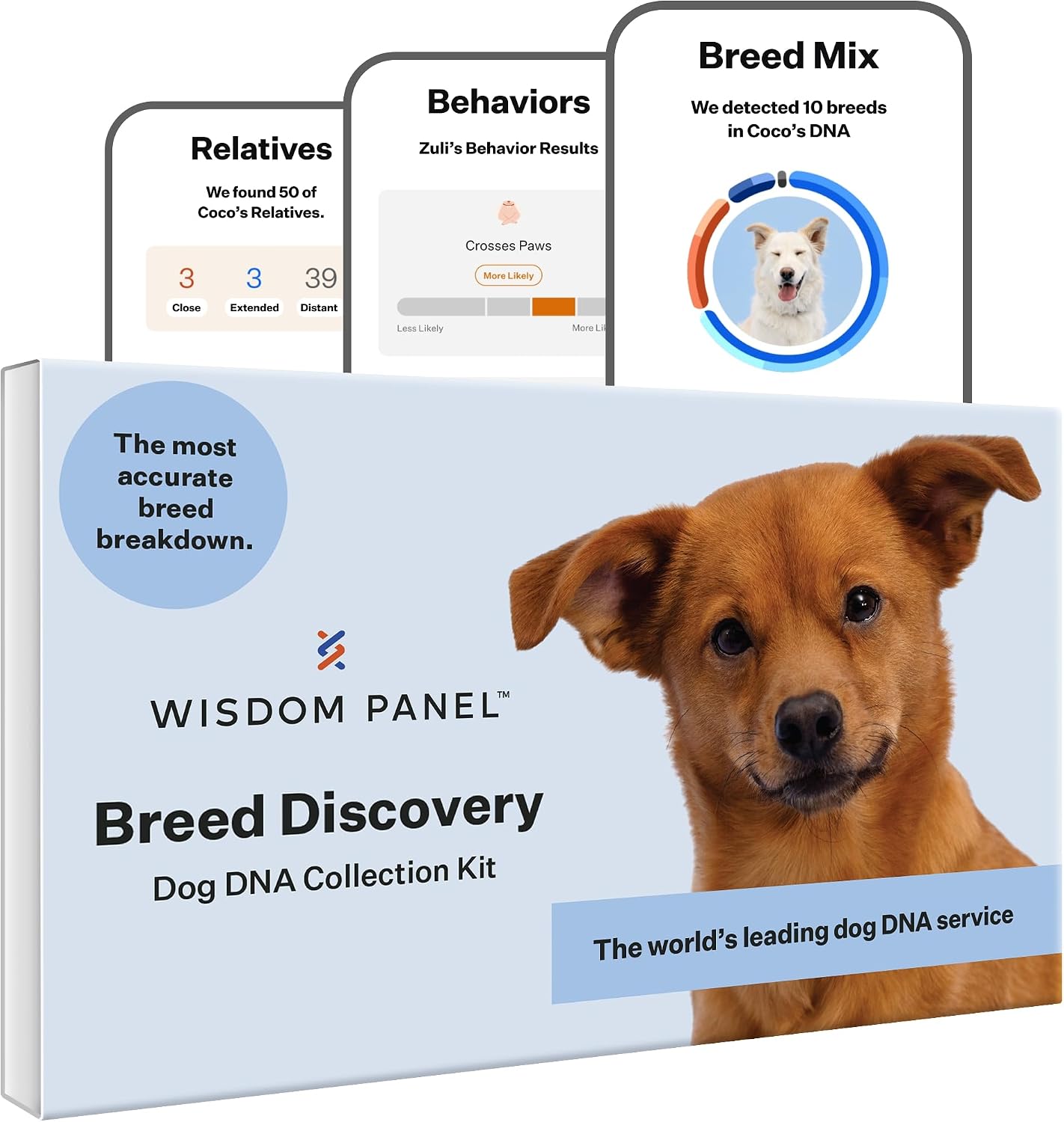 71S86zUCipL._AC_SL1500_.jpg Wisdom Panel Breed Discovery Dog DNA Test Kit, 430+ Breeds and MDR1 Health Test - Image 1