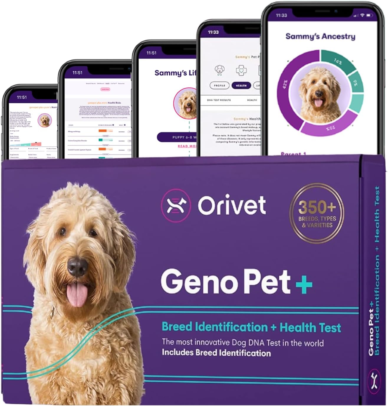71qzwvyq5mL._AC_SL1500_.jpg Orivet Geno Pet Plus 5.0 Dog DNA Breed Identification & Health Test - Image 1