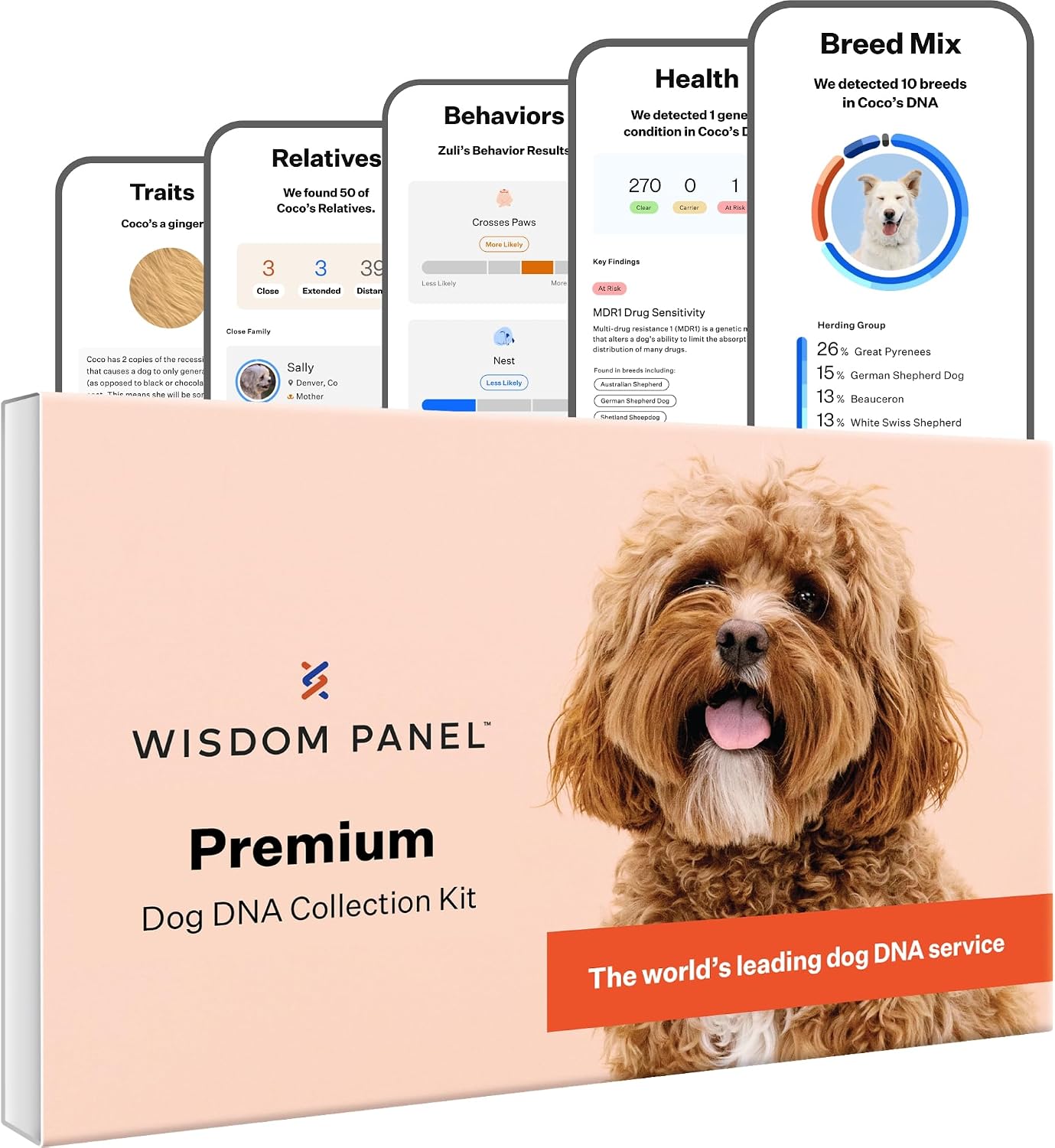 71yU-h8wVrL._AC_SL1500_.jpg Wisdom Panel Premium Dog DNA Test, 270+ Health Tests, 430+ Breeds - Image 1