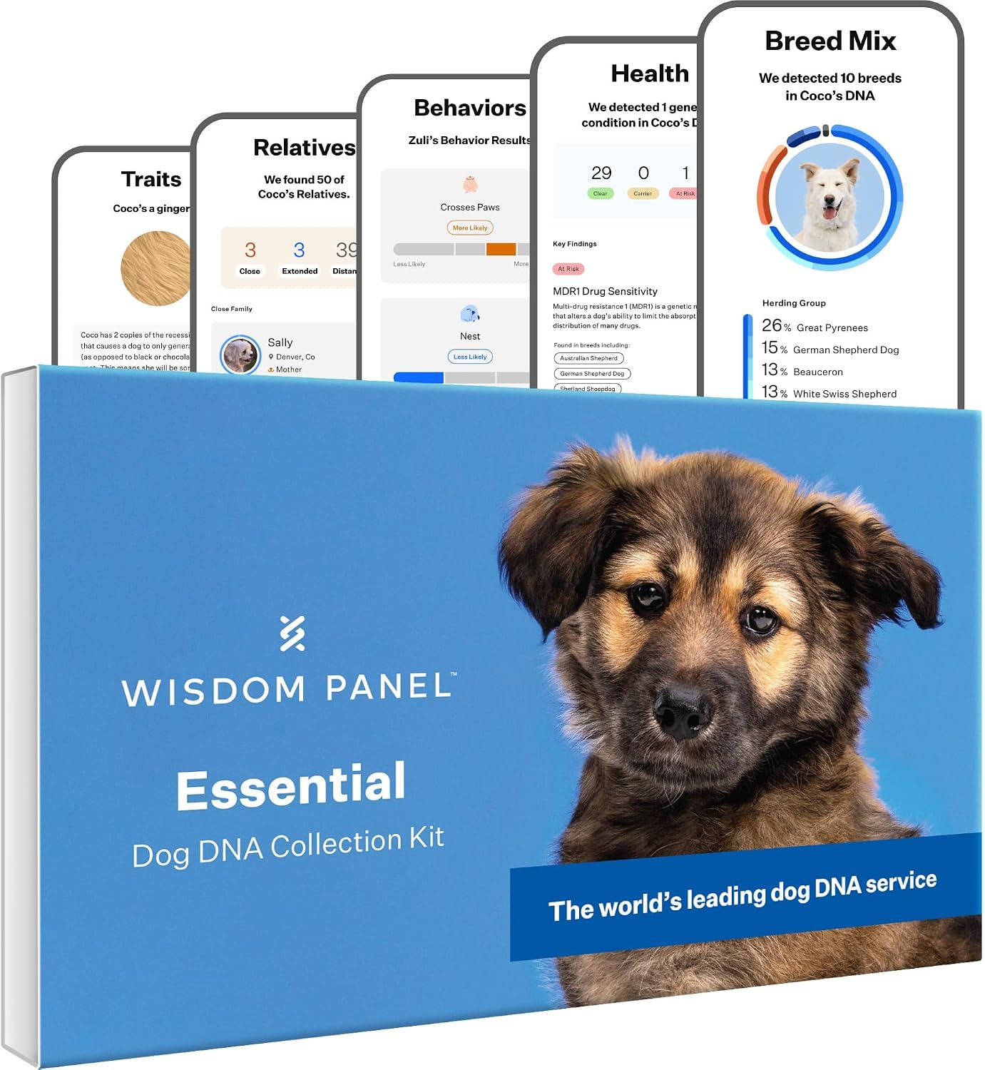 81i1GgXDnAL._AC_SL1500_.jpg Wisdom Panel Essential Dog DNA Test, 430+ Breeds, 30 Health Tests - Image 1
