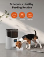 WOPET F07 6L Automatic Cat Feeder, WiFi Automatic Dog Feeder with APP Control for Remote Feeding - Image 3