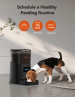 WOPET F07 Pro 6L Automatic Pet Feeder For Cats or Dogs, Voice Recorder WiFi Remote Control - Image 3