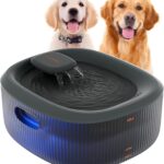 WOPET W600plus Pet Water Fountain for Multiple Cats or Large Dogs, 6L/205oz/1.6Gal Water Dispenser, Ultra-Quiet Pump